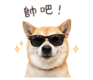 843837398