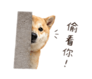843837399