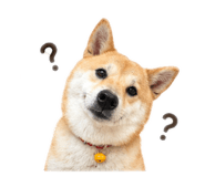 843837400