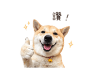 843837402