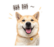 843837407