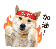 843837408