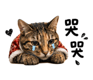 843837750