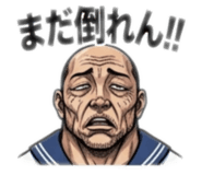 843837838