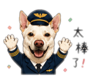 843838094