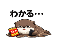 843838753
