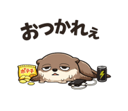 843838755