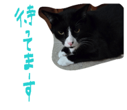 843839117