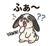 843839326