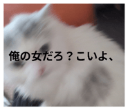 843839368