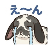 843839505