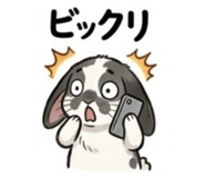 843839508