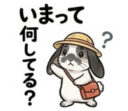 843839517