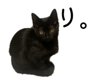 843839638