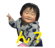 843840006