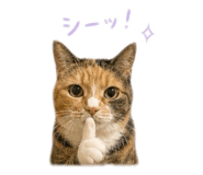 843840238
