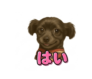 843840530