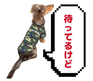 843840605