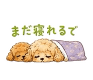 843840714