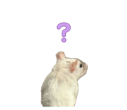 843840722