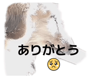 843840733