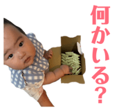 843841115