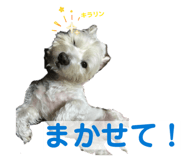 843842095