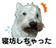 843842096