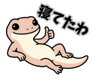 843842182