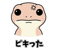 843842198