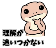 843842203