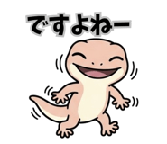 843842204