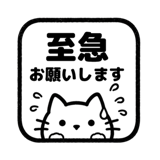 843842297
