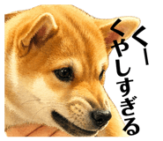 843842803