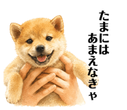 843842810