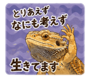 843842919