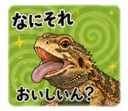 843842920
