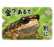 843842928