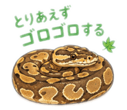 843842929