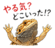 843842934