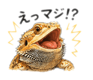 843842935