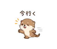843843312