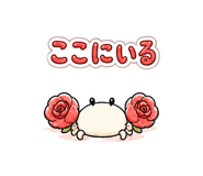 843846944