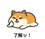 843853286