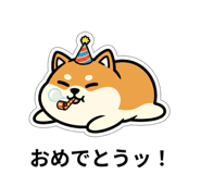 843853293