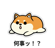 843853296