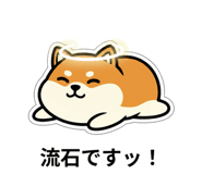 843853297