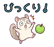 843853762