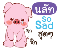 843854658