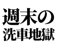 843856431